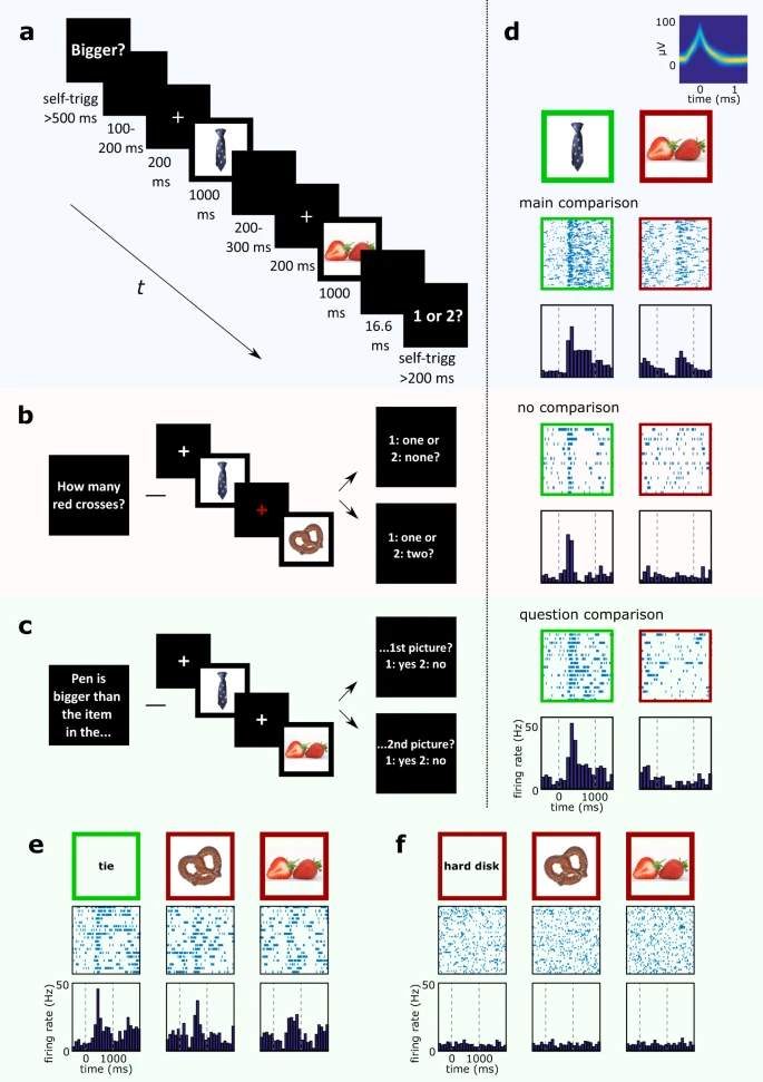 Our Research